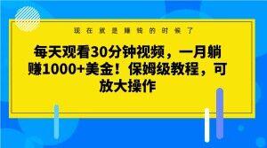 每天观看30分钟视频，一月躺赚1000+美金！保姆级教程，可放大操作【揭秘】-豪讯资源网