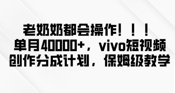 老奶奶都会操作，新平台无脑操作，单月40000+，vivo短视频创作分成计划【揭秘】-豪讯资源网