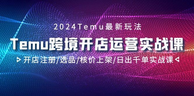2024Temu跨境开店运营实战课，开店注册/选品/核价上架/日出千单实战课-豪讯资源网