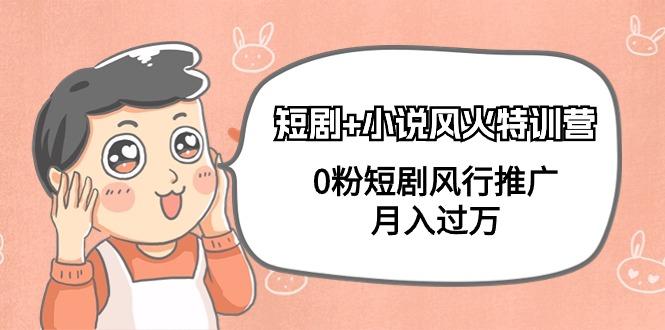 (9374期)短剧+小说风火特训营，0粉短剧风行推广，月入过万(102节课)-豪讯资源网