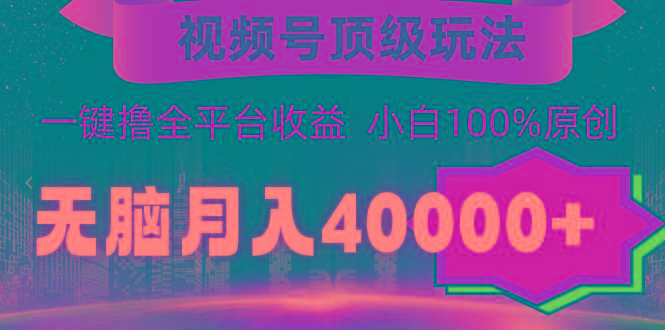 (9281期)视频号顶级玩法，无脑月入40000+，一键撸全平台收益，纯小白也能100%原创-豪讯资源网