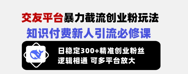 交友平台暴力截流创业粉玩法，知识付费新人引流必修课，日稳定300+精准创业粉丝，逻辑相通可多平台放大-豪讯资源网
