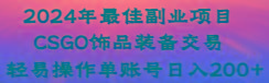 2024年最佳副业项目 CSGO饰品装备交易 轻易操作单账号日入200+-豪讯资源网