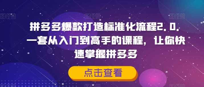 拼多多爆款打造标准化流程2.0，一套从入门到高手的课程，让你快速掌握拼多多-豪讯资源网