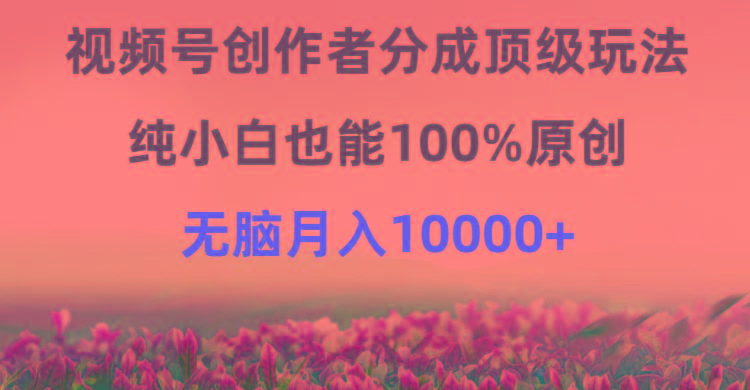 (9608期)视频号创作者分成顶级玩法，纯小白也能100%原创，无脑月入10000+-豪讯资源网