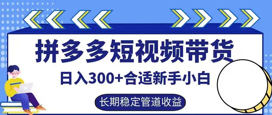拼多多短视频带货日入300+有长期稳定被动收益，合适新手小白【揭秘】-豪讯资源网