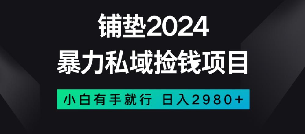 暴力私域捡钱项目，小白无脑操作，日入2980【揭秘】-豪讯资源网