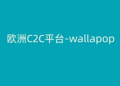 欧洲C2C平台-wallapop-kim跨境电商教程-豪讯资源网