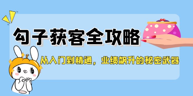 从入门到精通，勾子获客全攻略，业绩飙升的秘密武器-豪讯资源网