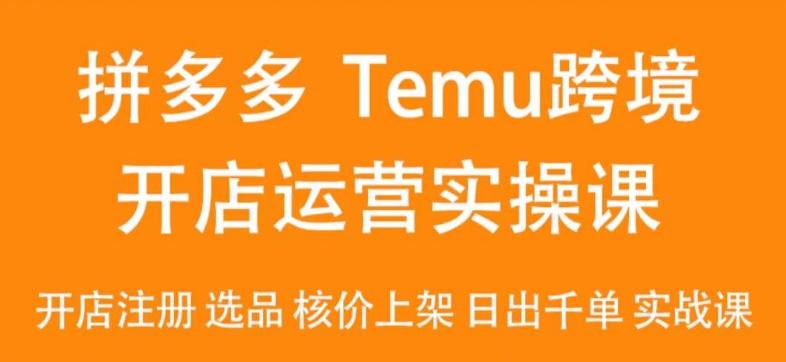 2024Temu最新玩法，Temu跨境开店运营实操课，开店注册/选品/核价上架/日出千单实战课-豪讯资源网
