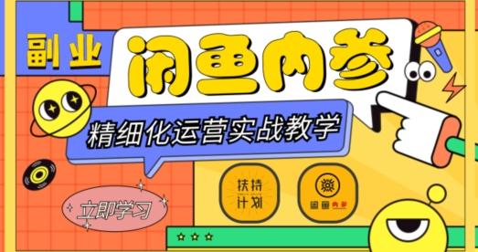 闲鱼精细化运营入门+高阶实战教学，从底层逻辑到轻松变现，多维度玩转闲鱼副业-豪讯资源网