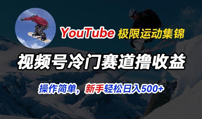 视频号冷门赛道撸收益，YouTube搬运极限运动集锦，暴力起号，操作简单流量高，轻松日入5张【揭秘】-豪讯资源网
