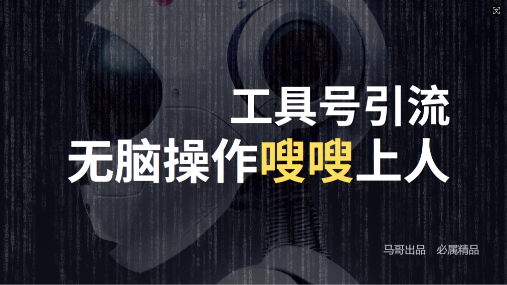 24年抖音最新工具号日引流300+创业粉，日入5000+-豪讯资源网