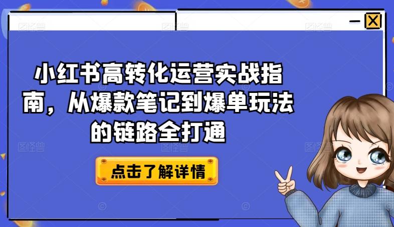 小红书高转化运营实战指南，从爆款笔记到爆单玩法的链路全打通-豪讯资源网