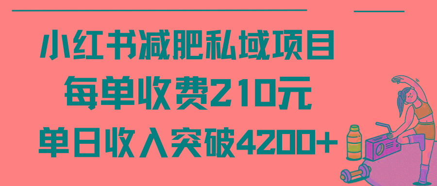 (9466期)小红书减肥私域项目每单收费210元单日成交20单，最高日入4200+-豪讯资源网