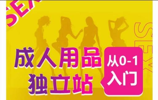 成人用品独立站从0-1入门，成品独立站运营全流程教学，七大好卖成品独立站推荐-豪讯资源网