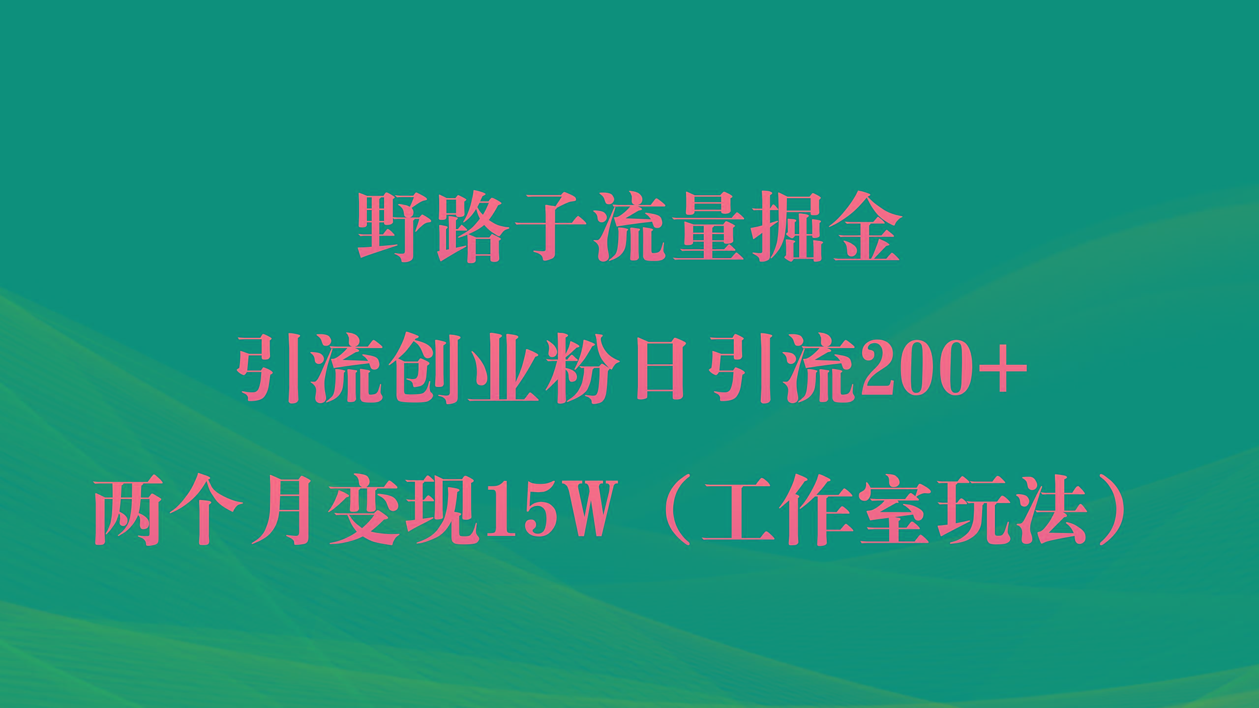(9513期)野路子流量掘金，引流创业粉日引流200+，两个月变现15W(工作室玩法))-豪讯资源网