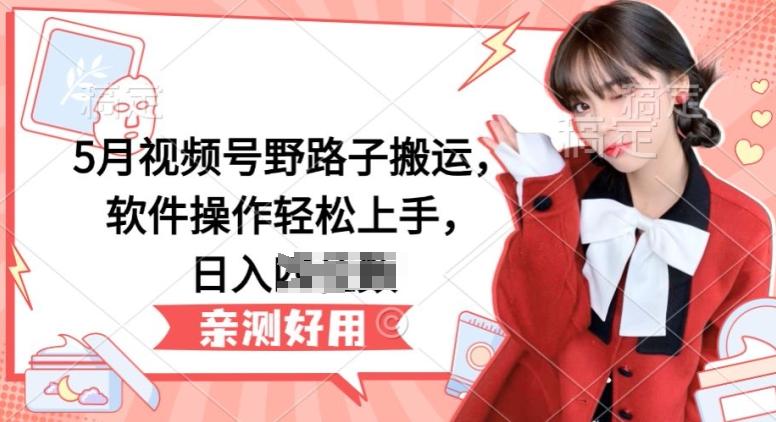 5月视频号野路子搬运，软件操作轻松上手，日入三位数【揭秘】-豪讯资源网
