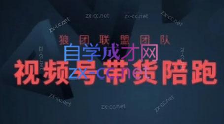 狼团联盟·2024视频号带货-豪讯资源网