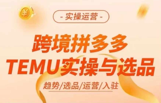 跨境拼多多TEMU实操与选品，多多temu跨境选品运营实操-豪讯资源网