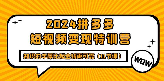 (9817期)2024拼多多短视频变现特训营，知识的丰厚比起金钱更可靠(11节课)-豪讯资源网