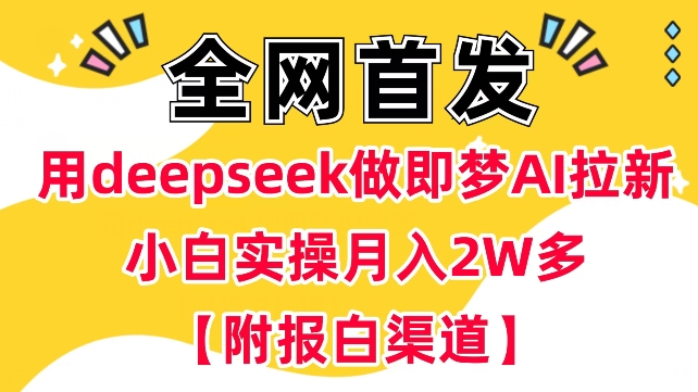 用deepseek做即梦Ai拉新 小白实操月入过W+【附报白渠道】-豪讯资源网
