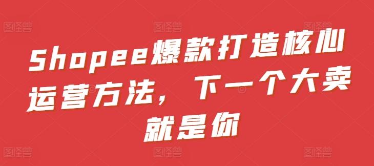 Shopee爆款打造核心运营方法，下一个大卖就是你-豪讯资源网