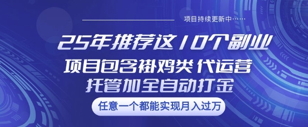 25年推荐这10个副业项目包含褂鸡类、代运营托管类、全自动打金类【揭秘】-豪讯资源网