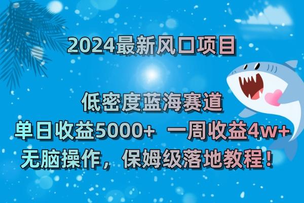 (8545期)2024最新风口项目 低密度蓝海赛道，日收益5000+周收益4w+ 无脑操作，保...-豪讯资源网