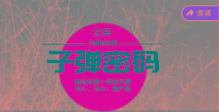 《子弹密码训练营》-用一句话文案勾人勾心卖产品，21天学到顶尖文案大师策略和技巧-豪讯资源网