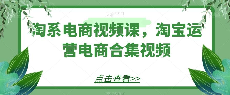 淘系电商视频课，淘宝运营电商合集视频-豪讯资源网