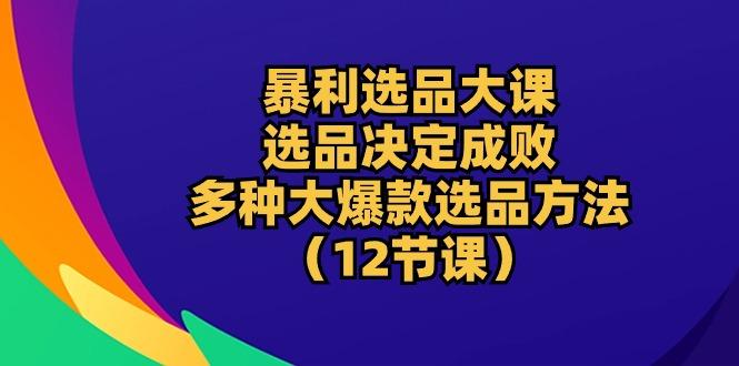 暴利 选品大课：选品决定成败，教你多种大爆款选品方法(12节课-豪讯资源网