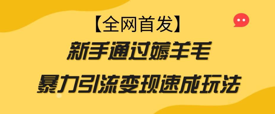 【全网首发】新手通过薅羊毛暴力引流变现速成玩法-豪讯资源网
