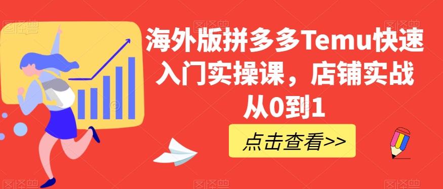 海外版拼多多Temu快速入门实操课，店铺实战从0到1-豪讯资源网