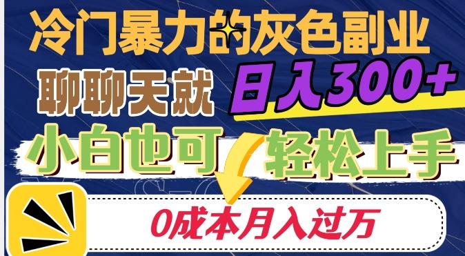 冷门暴利的副业项目，聊聊天就能日入300+，0成本月入过万【揭秘】-豪讯资源网