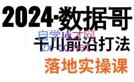 数据哥·2024年千川前沿打法落地实操课-豪讯资源网