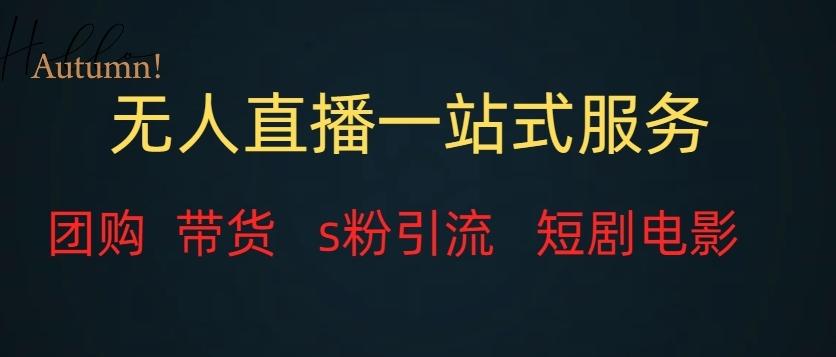 无人直播一站式服务（教程以及变现方式）-豪讯资源网