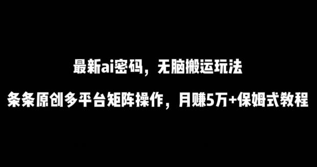 最新ai流量密码，傻瓜式搬运玩法，条条原创，多平台矩阵操作，月赚5万+保姆式教程【揭秘】-豪讯资源网
