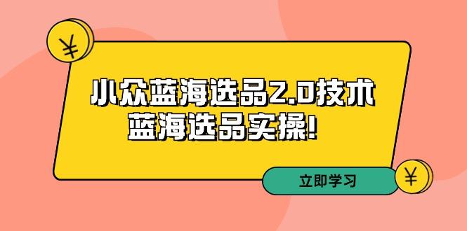 拼多多培训第33期：小众蓝海选品2.0技术-蓝海选品实操！-豪讯资源网