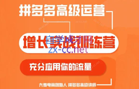 大麦老师·拼多多单品爆款打造课程(更新6月)-豪讯资源网