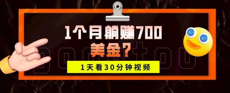 1天看30分钟视频，1个月躺赚700美金？-豪讯资源网