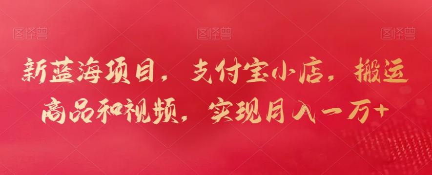 新蓝海项目，支付宝小店，搬运商品和视频，实现月入一万+【揭秘】-豪讯资源网