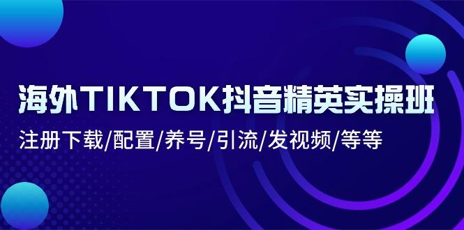 海外TIKTOK抖音精英实操班：注册下载/配置/养号/引流/发视频/等等-豪讯资源网
