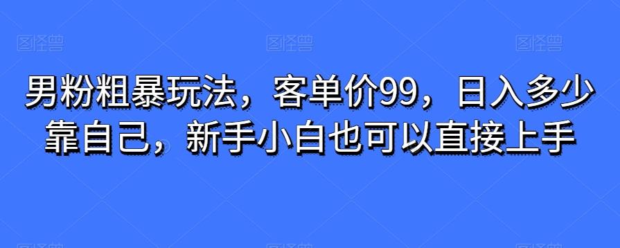 男粉粗暴玩法，客单价99，日入多少靠自己，新手小白也可以直接上手-豪讯资源网