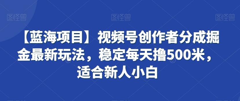 【蓝海项目】视频号创作者分成掘金最新玩法，稳定每天撸500米，适合新人小白【揭秘】-豪讯资源网