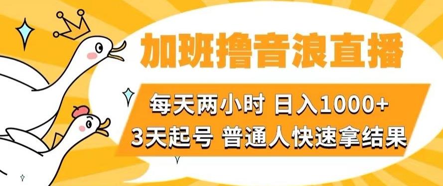 加班撸音浪直播，每天两小时，日入1000+，直播话术才3句，3天起号，普通人快速拿结果【揭秘】-豪讯资源网