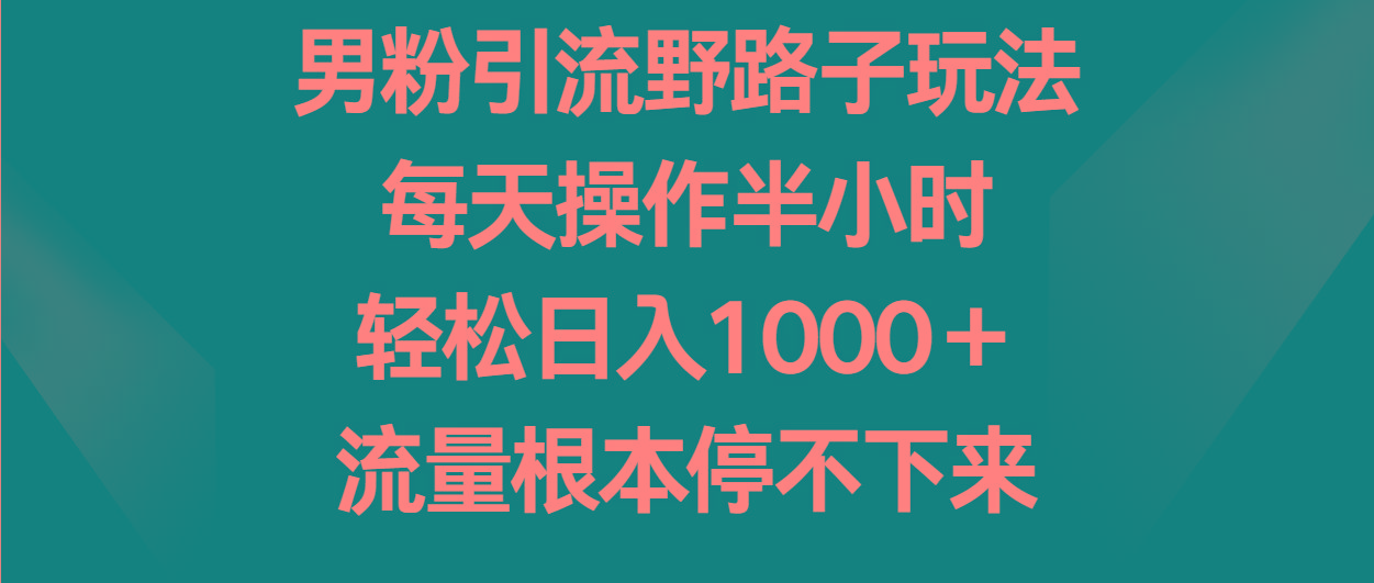 男粉引流野路子玩法，每天操作半小时轻松日入1000＋，流量根本停不下来-豪讯资源网