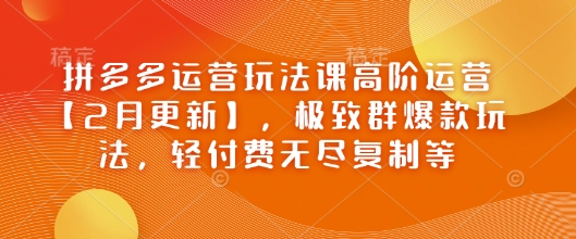 拼多多运营玩法课高阶运营【2月更新】，极致群爆款玩法，轻付费无尽复制等-豪讯资源网