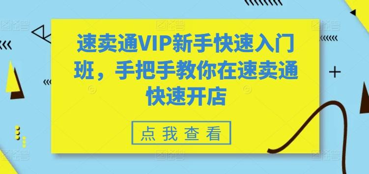 速卖通VIP新手快速入门班，手把手教你在速卖通快速开店-豪讯资源网