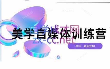 安娜·美学自媒体IP系统课-豪讯资源网